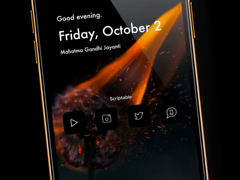 Vivo X100 Pro 256GB